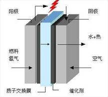 燃料電池